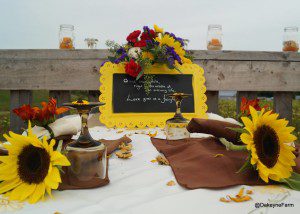 the-table-setting