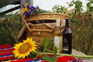 the-flying-apron-picnic