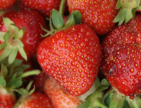 strawberries