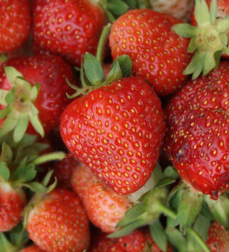 strawberries
