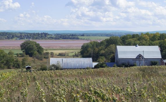EndofSeason
